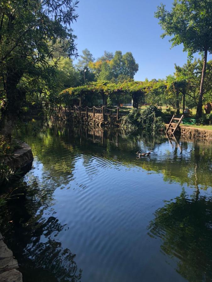 Hotel Dalya Life Göcek Zewnętrze zdjęcie